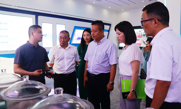 Song Weiwu, 항공 우주 Kaitian Environmental Protection Technology 카지노 게임 종류., Ltd.의 회장 및 그의 당은 Wuhu Haichuang을 방문했습니다