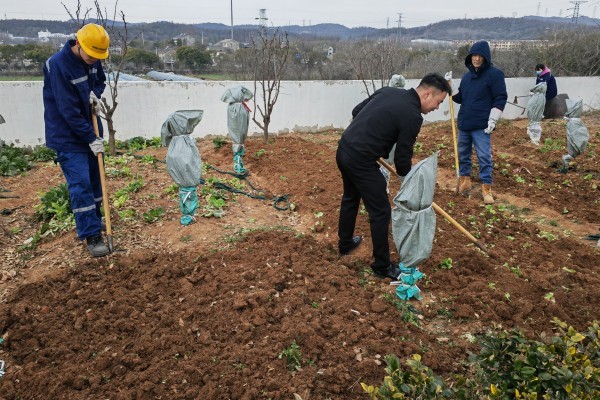Spring Rain은 비옥 한 밭에 촉촉하고 농업 계절을 멈추고 봄까지 살지 않습니다 - Nanjing 카지노 쿠폰은 자발적인 재배 노동을 조직합니다